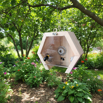 Chemical-Free, Handmade Carpenter Bee Trap