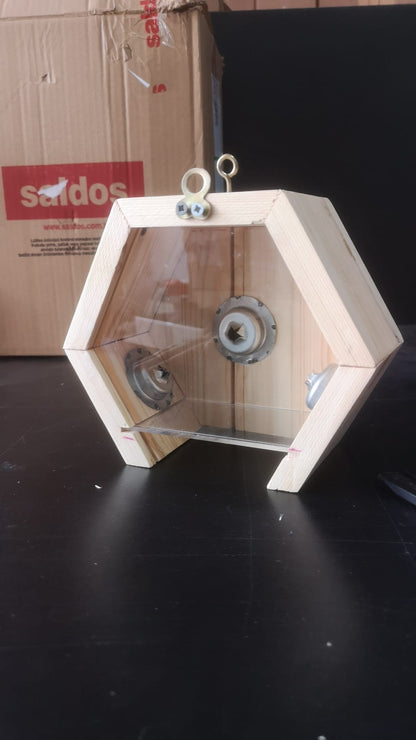 Carpenter Bee Trap for Outside - 4 pack